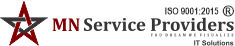 MN Service Providers (MNSP)